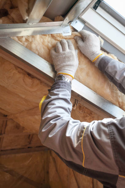 Best Residential Insulation in Coralville, IA